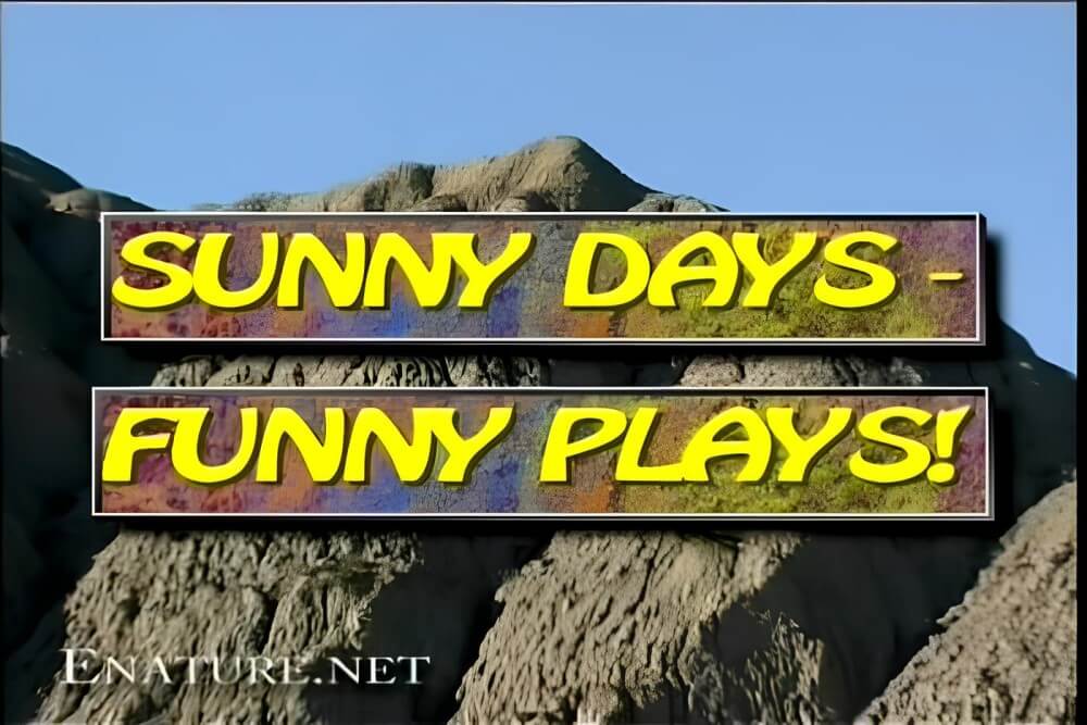 Enature - Sunny Days – Funny Plays - In naturism, people are equal regardless of circumstances