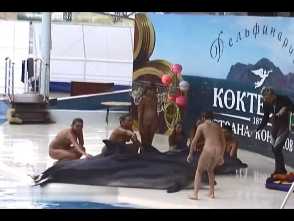 Relaxing at the dolphinarium - Nudists live together in nature and in groups