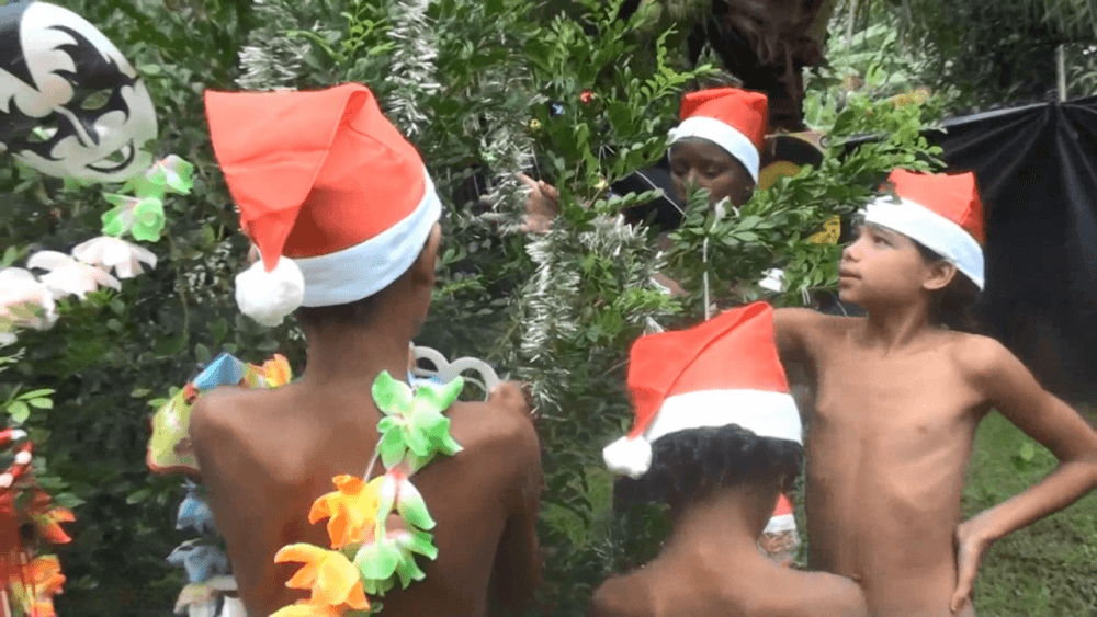 Brazil Festival Celebrations 1 Full HD - Health is strengthened through naturism